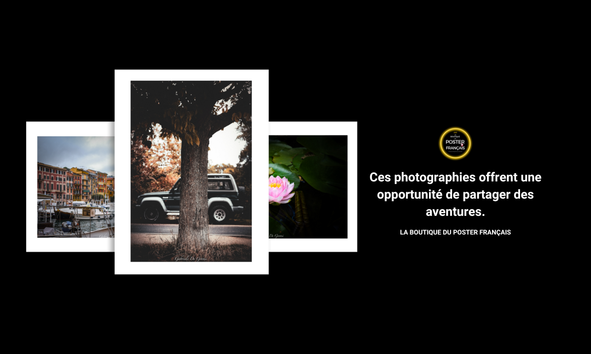 Magasin de Photographie en ligne