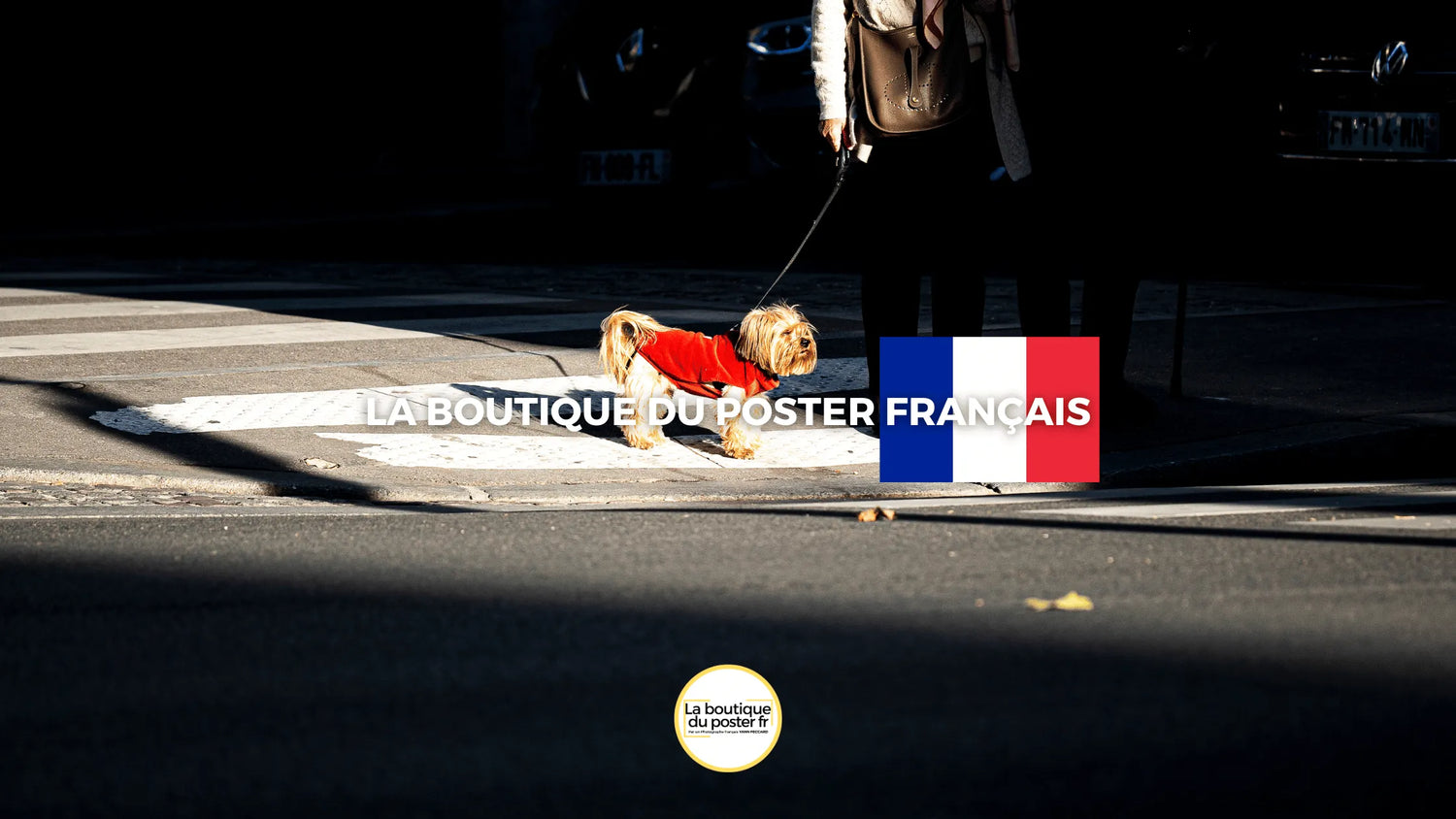 Des Posters Muraux de Photographies pour Créer une Galerie Photo chez Vous