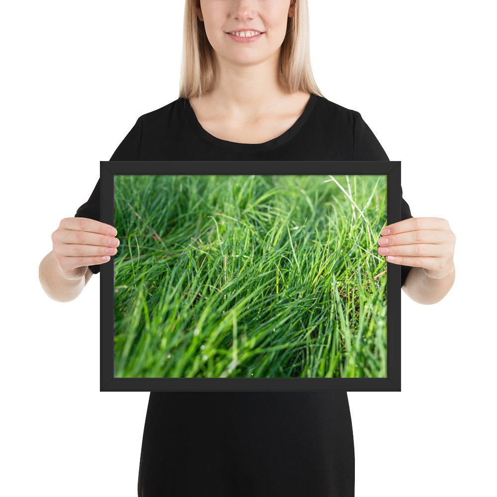 Photographie de 'Le Vent', montrant de l'herbe verte inclinée par une brise légère, encadrée dans un cadre en bois élégant.