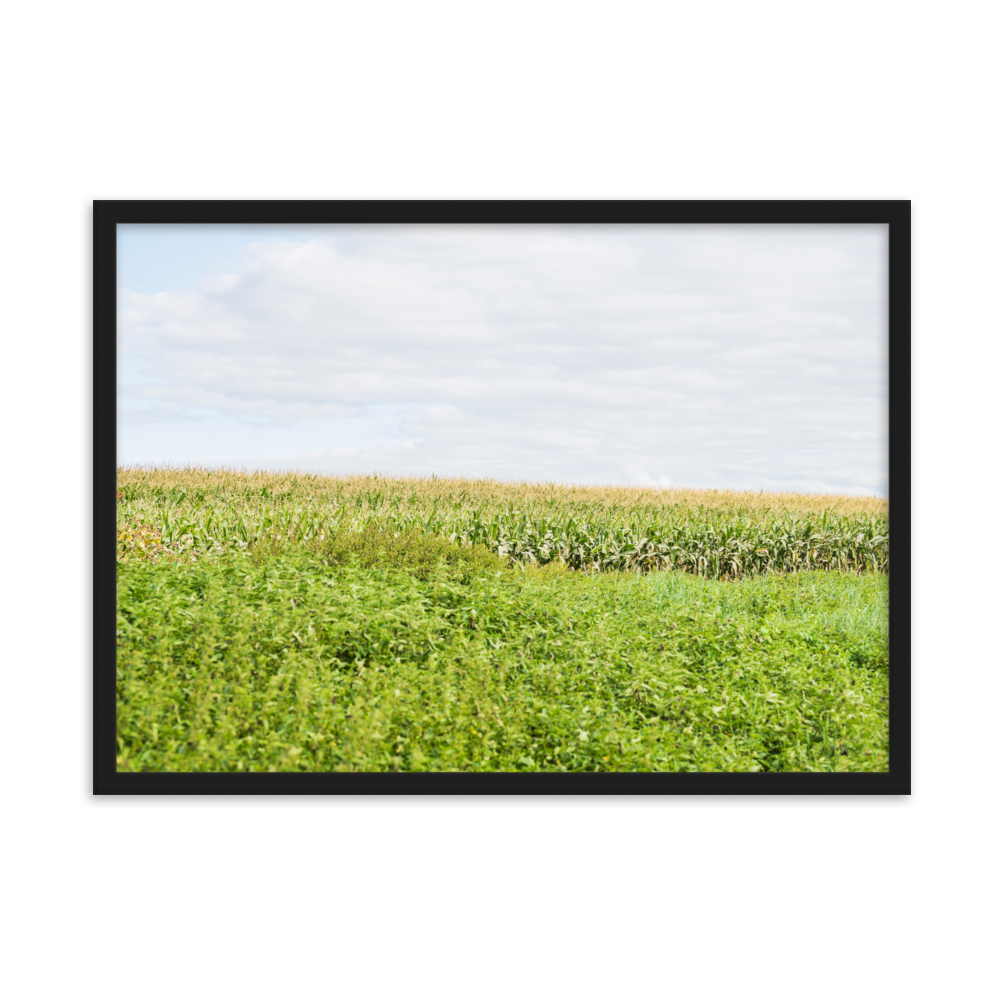 Poster mural - Paysage Indre et Loire N01 – Photographie de paysage – Poster photographie, photographie murale et des posters muraux unique au monde. La boutique de posters créée par Yann Peccard un Photographe français.