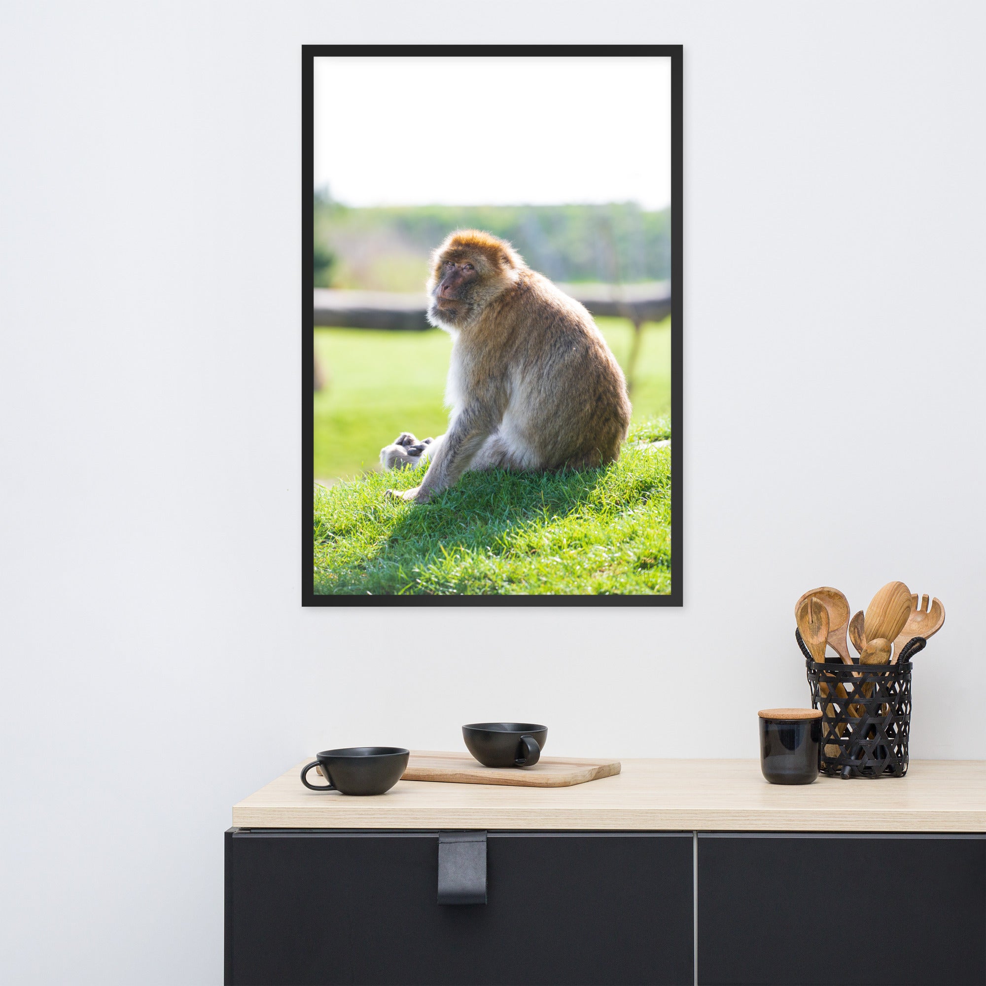 Dans le regard d'un macaque - Poster encadré - La boutique du poster Français