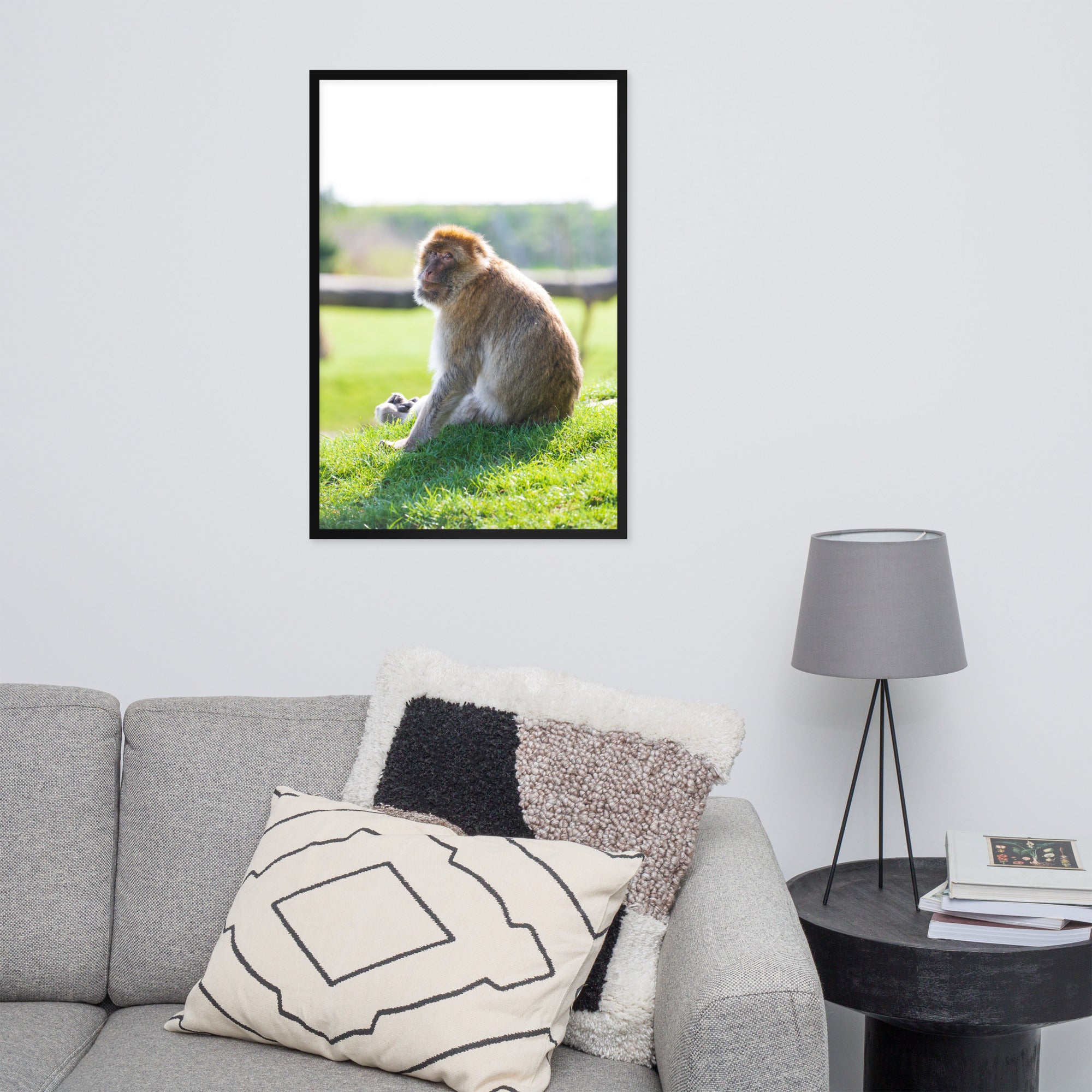 Dans le regard d'un macaque - Poster encadré - La boutique du poster Français