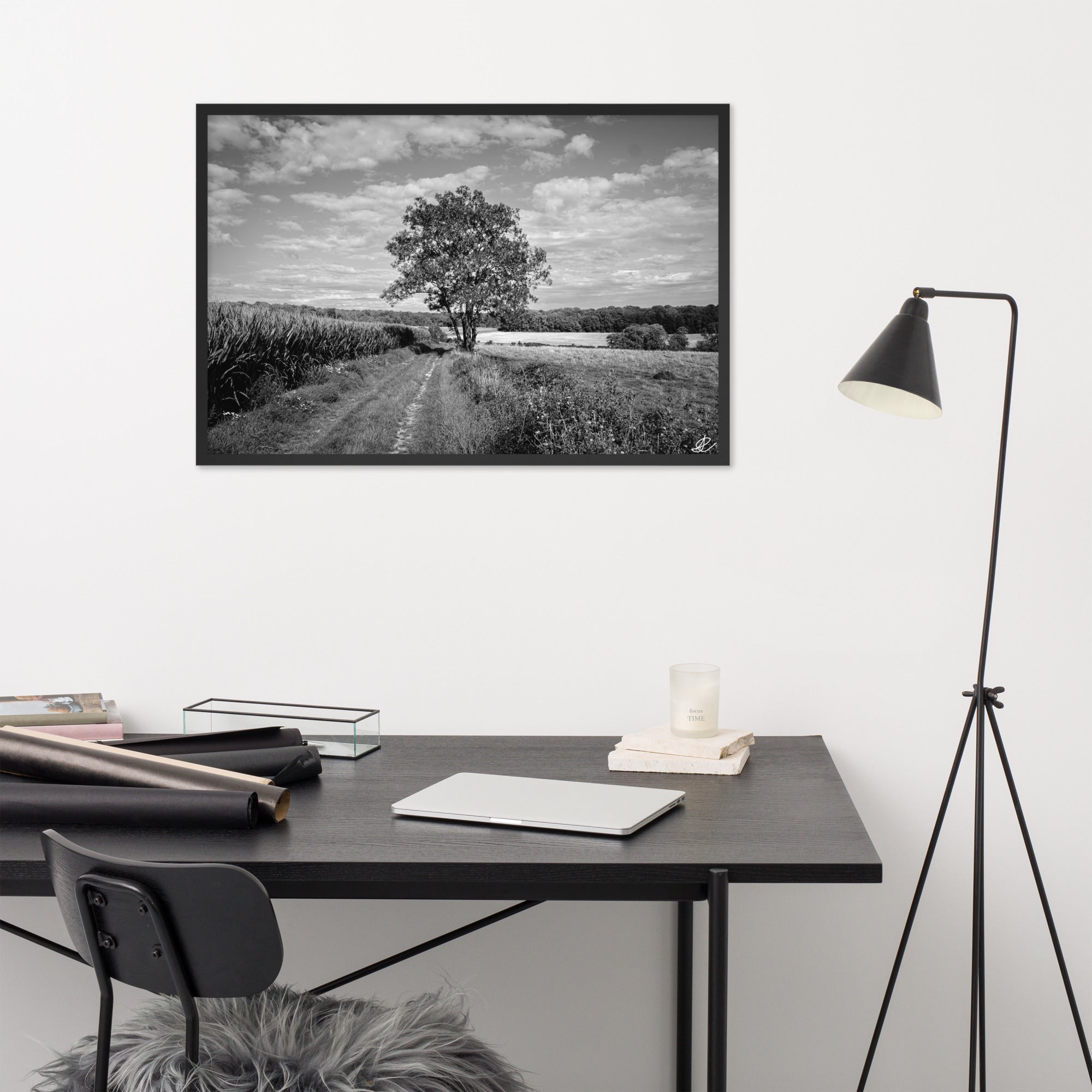 Poster en noir et blanc 'Le Grand Arbre', mettant en vedette un arbre robuste et serein au bord d'un champ ouvert, photographié de manière artistique par Ilan Shoham, offrant une présence apaisante et majestueuse à votre espace.