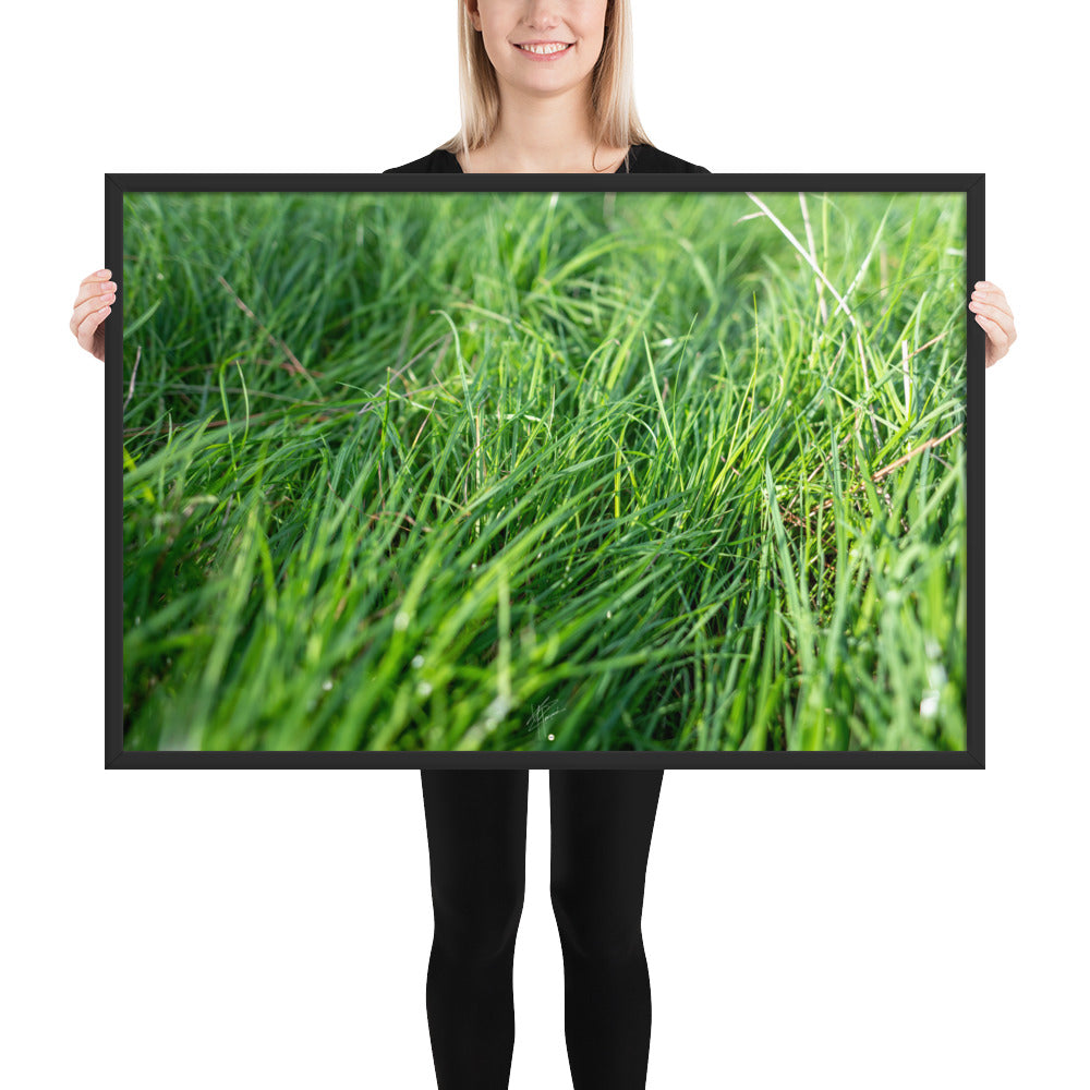 Photographie de 'Le Vent', montrant de l'herbe verte inclinée par une brise légère, encadrée dans un cadre en bois élégant.