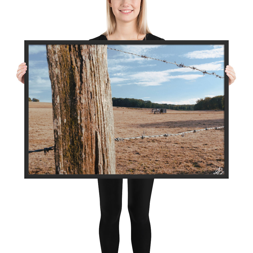 Photographie 'Campagne Sèche' par Ilan Shoham, capturant la résilience de la nature rurale à travers des barbelés, encadrée pour une réflexion profonde.