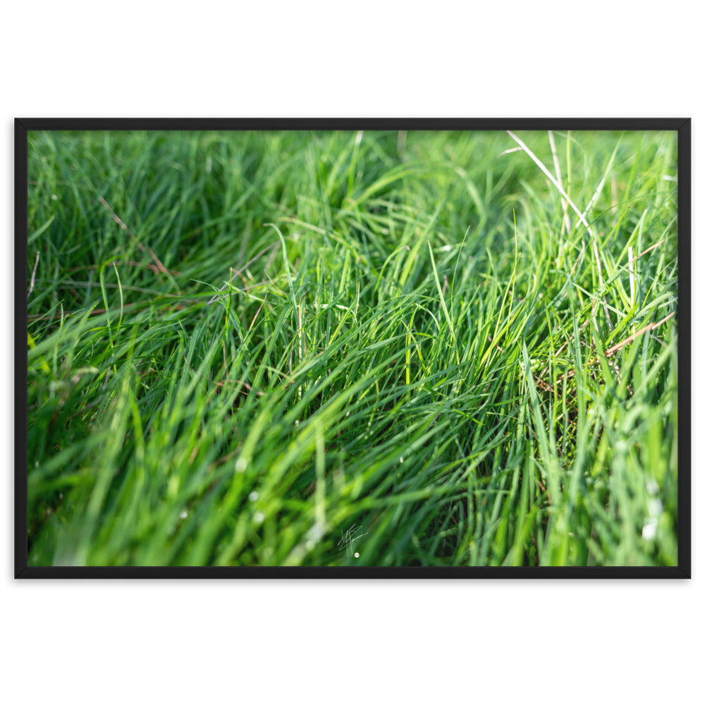 Photographie de 'Le Vent', montrant de l'herbe verte inclinée par une brise légère, encadrée dans un cadre en bois élégant.