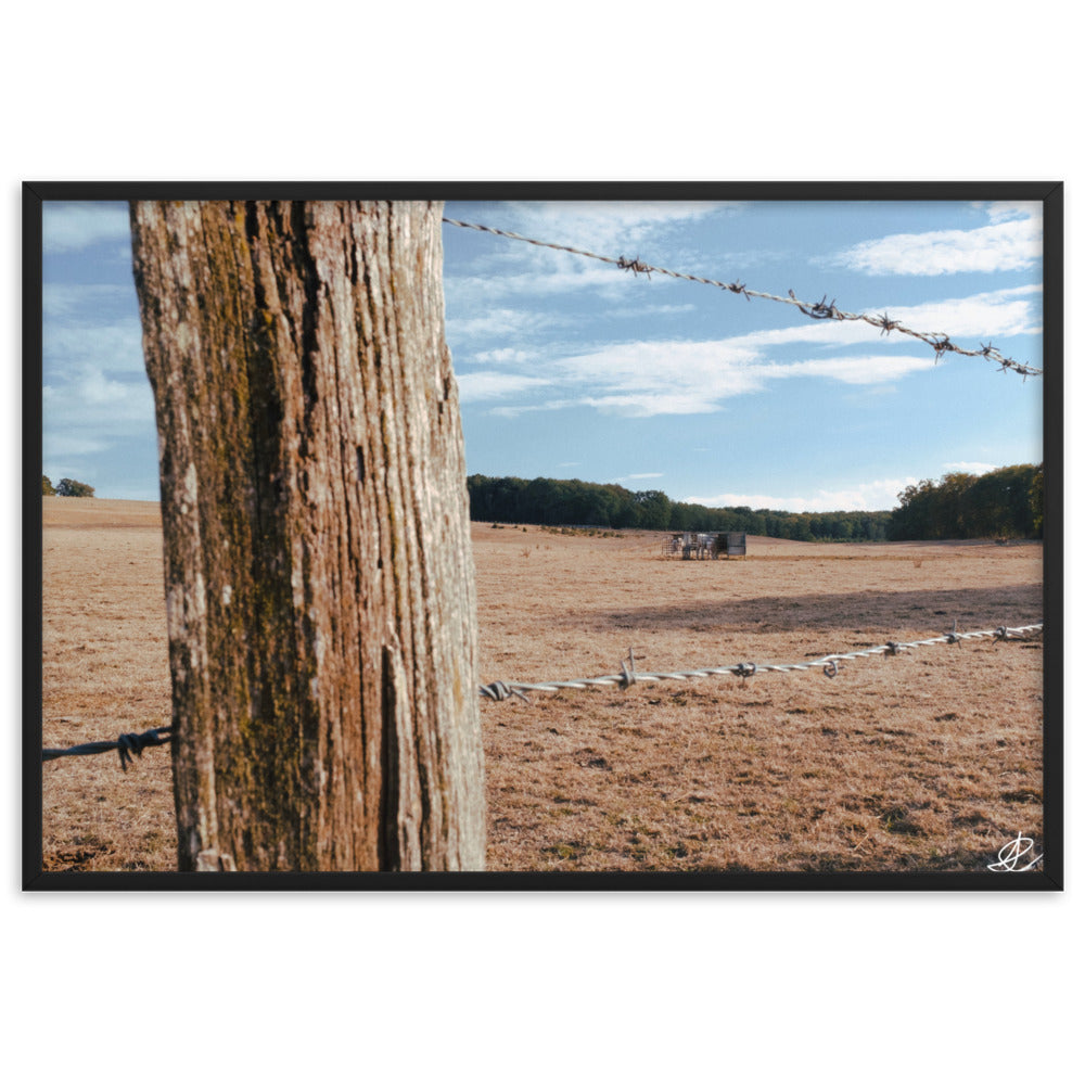 Photographie 'Campagne Sèche' par Ilan Shoham, capturant la résilience de la nature rurale à travers des barbelés, encadrée pour une réflexion profonde.