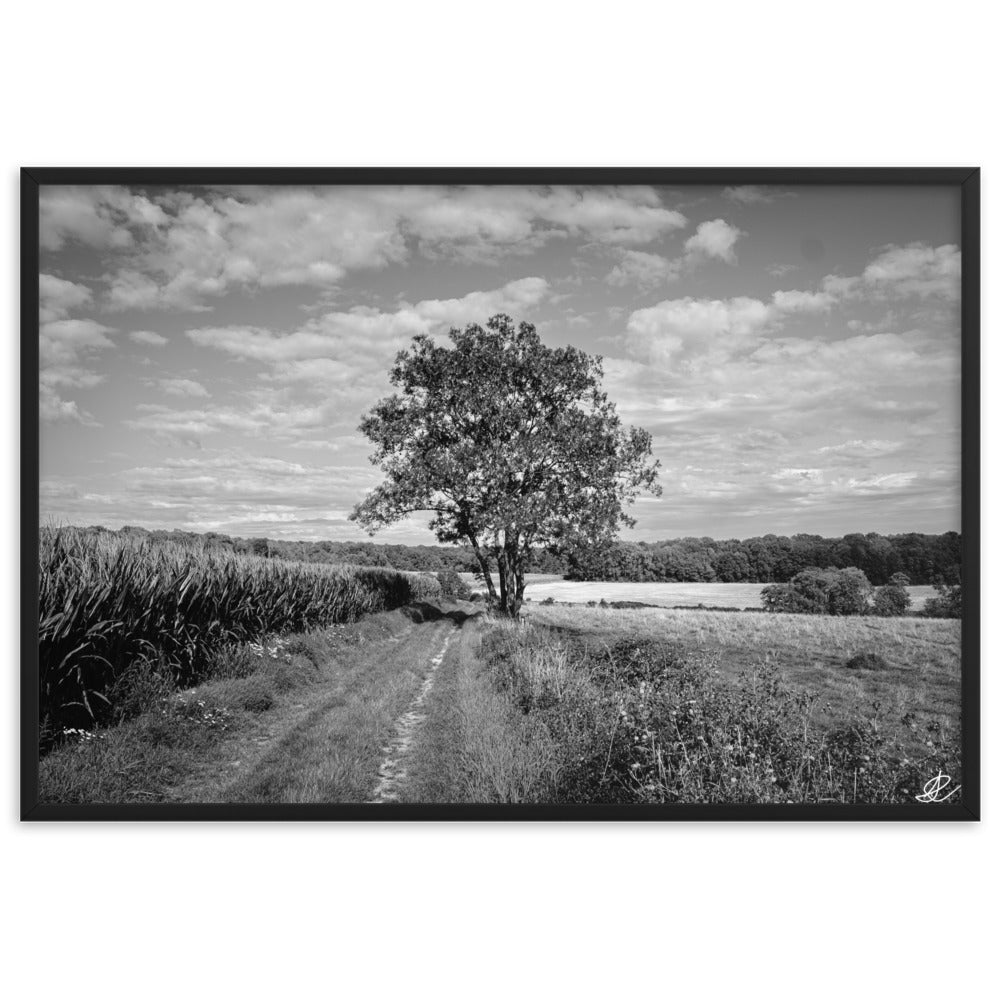 Poster en noir et blanc 'Le Grand Arbre', mettant en vedette un arbre robuste et serein au bord d'un champ ouvert, photographié de manière artistique par Ilan Shoham, offrant une présence apaisante et majestueuse à votre espace.