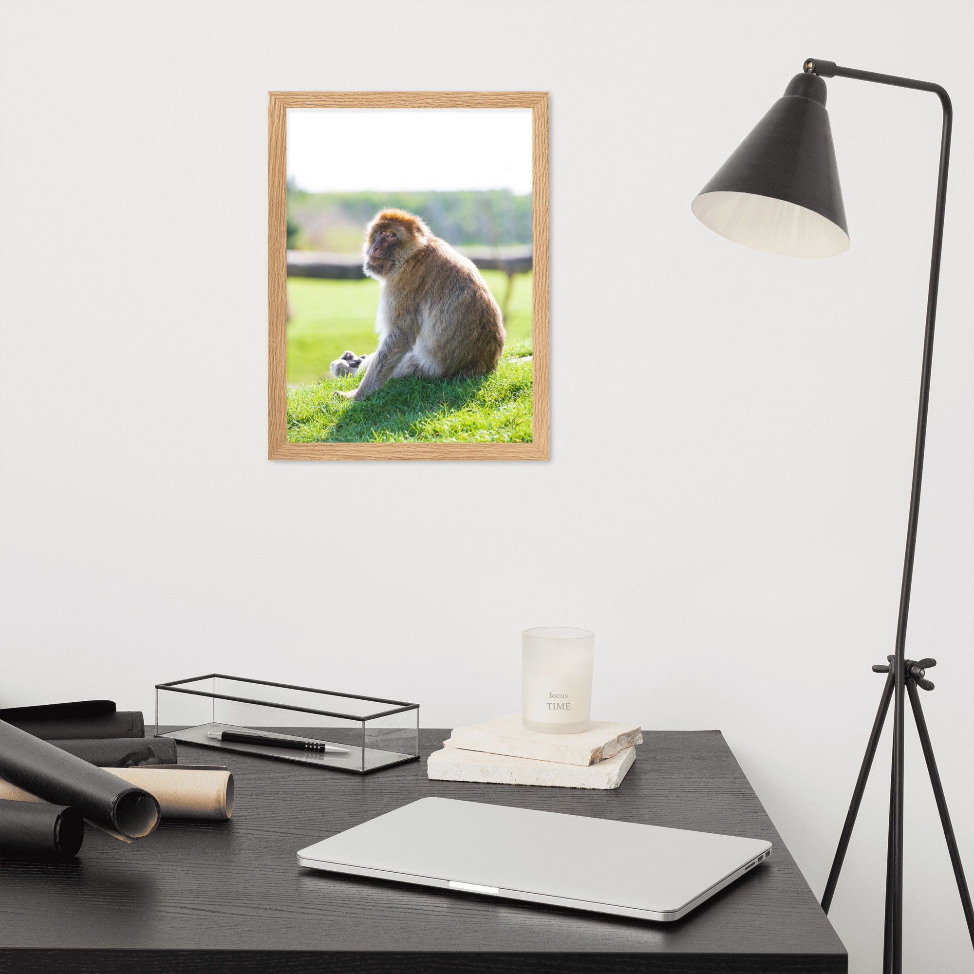 Dans le regard d'un macaque - Poster encadré - La boutique du poster Français