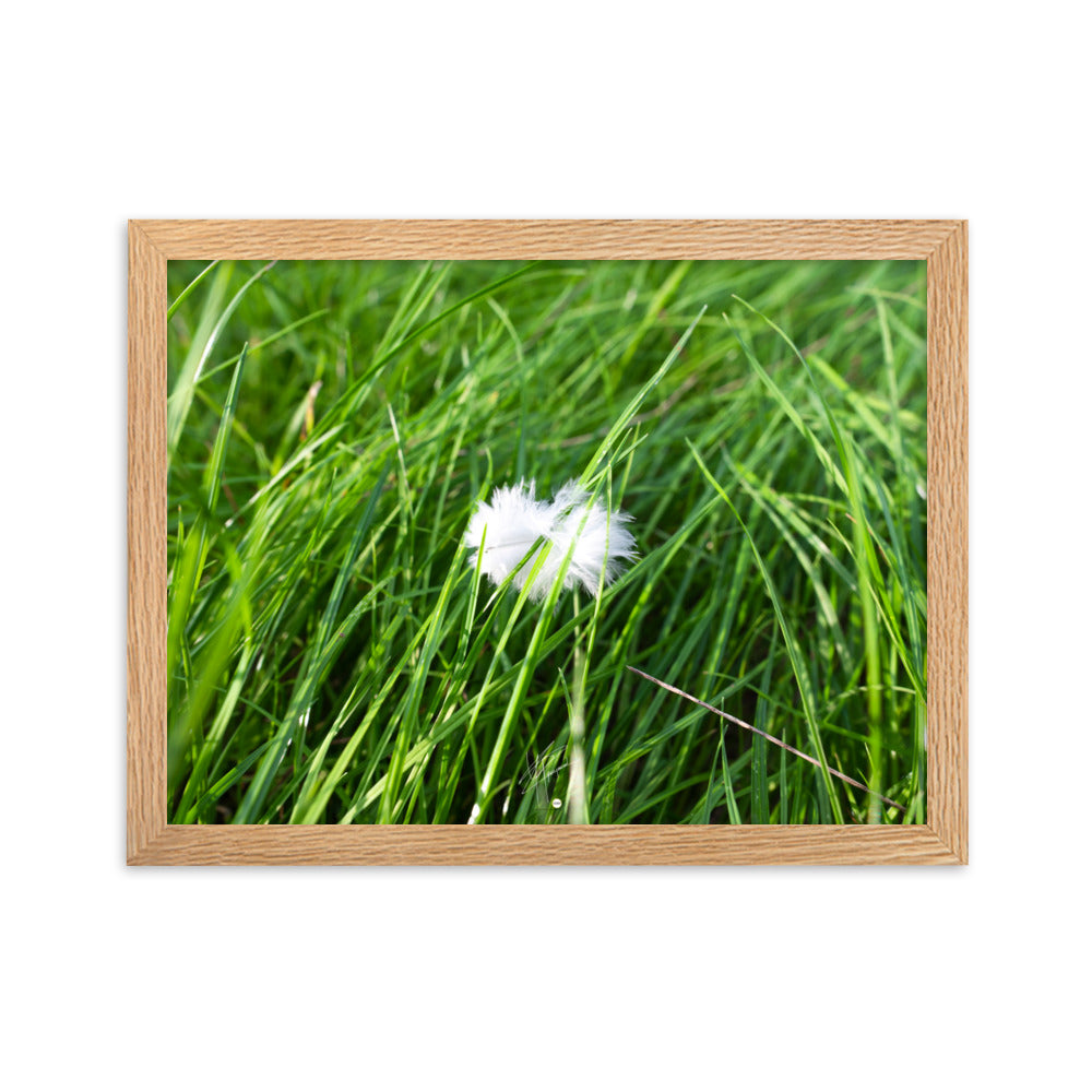 Photographie d'une plume blanche solitaire reposant paisiblement sur une herbe verte, encapsulant une ambiance de calme et de sérénité.