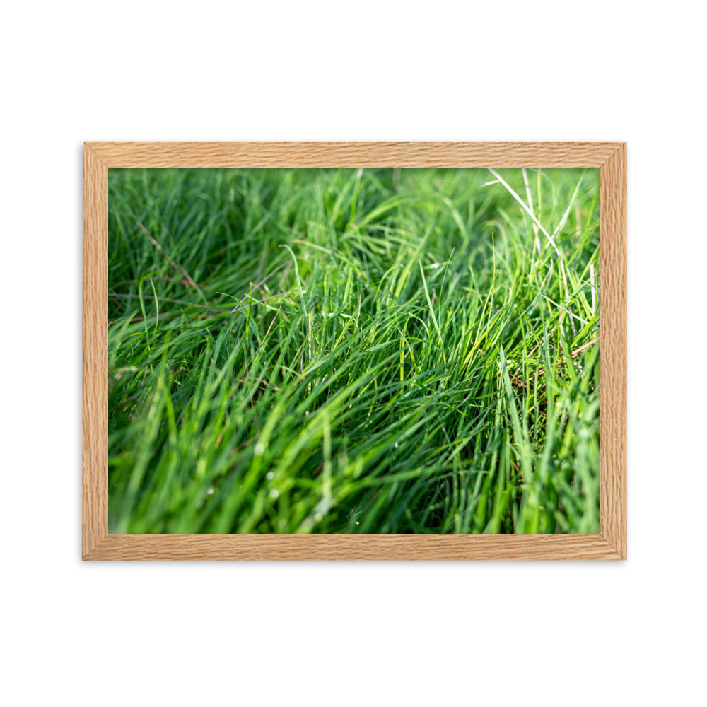 Photographie de 'Le Vent', montrant de l'herbe verte inclinée par une brise légère, encadrée dans un cadre en bois élégant.