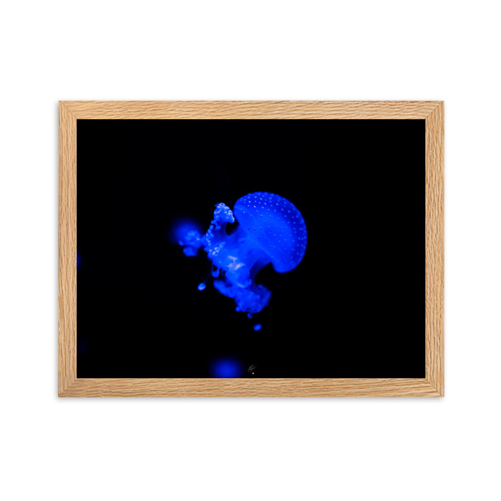 Photographie de méduse illuminée d'un éclat bleu hypnotique sur fond sombre, encadrée élégamment, par l'artiste Yann Peccard.