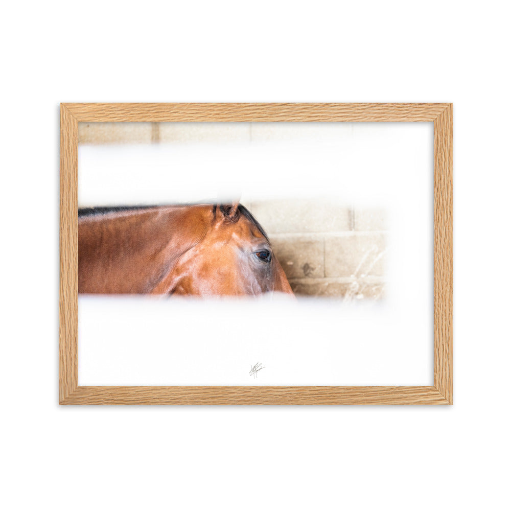 Poster artistique 'Confidence au box' signé Yann Peccard, représentant un cheval châtain dans un éclat de lumière, encadré et prêt à embellir votre espace.