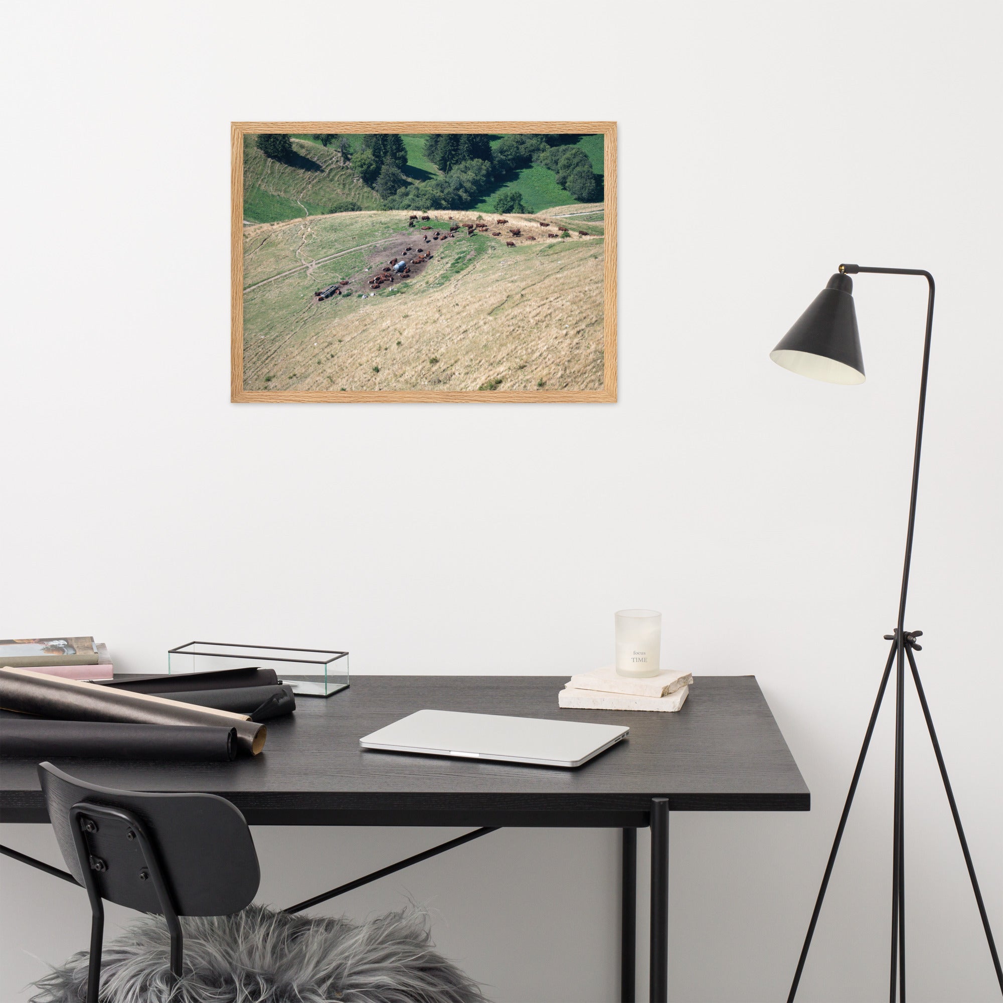 Photographie des vaches paissant paisiblement avec en toile de fond les montagnes majestueuses de la Tournette près d'Annecy. La nature dans sa splendeur.