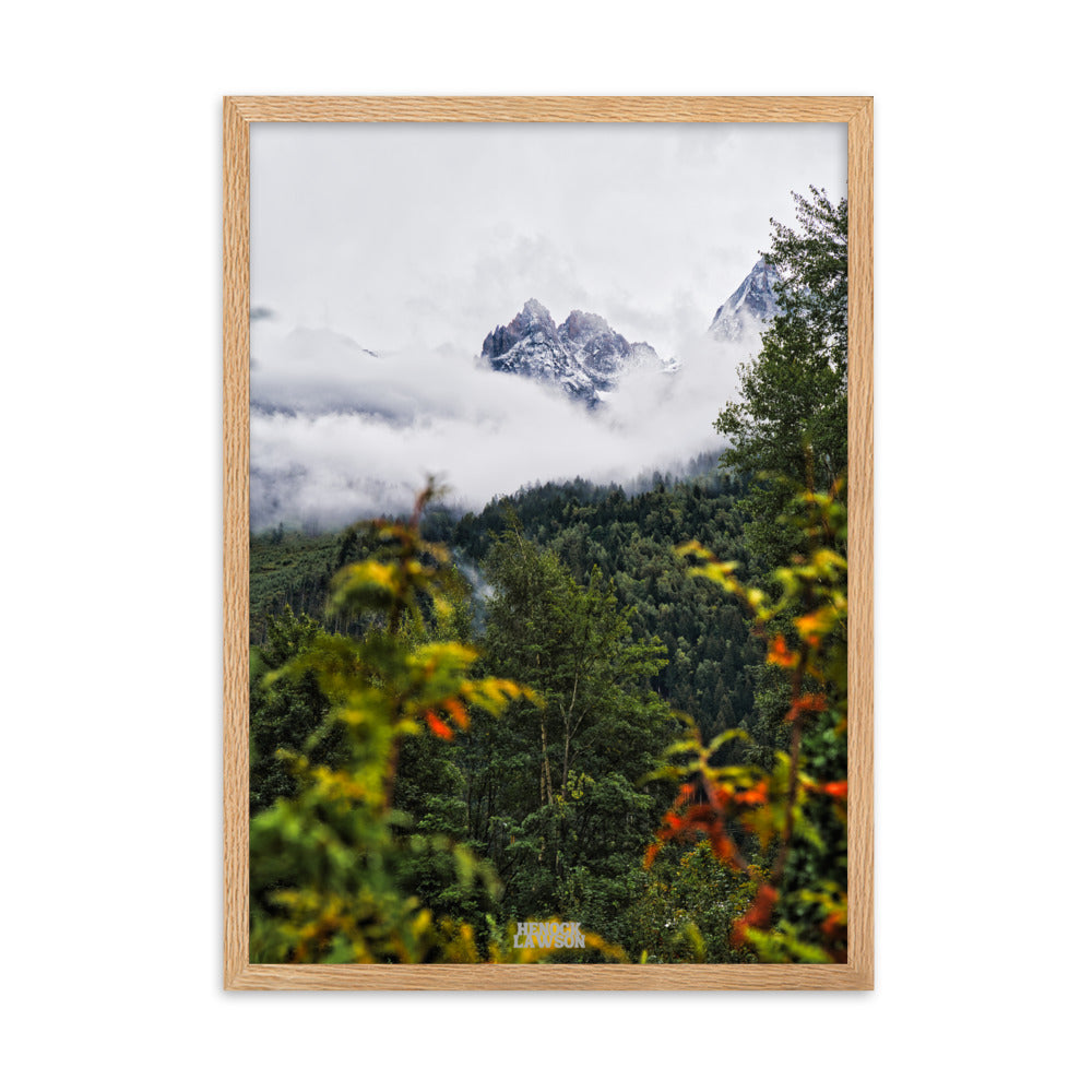 Photographie '2 mondes' par Henock Lawson, illustrant la rencontre entre une forêt luxuriante et des montagnes enneigées, symbolisant l'harmonie naturelle.