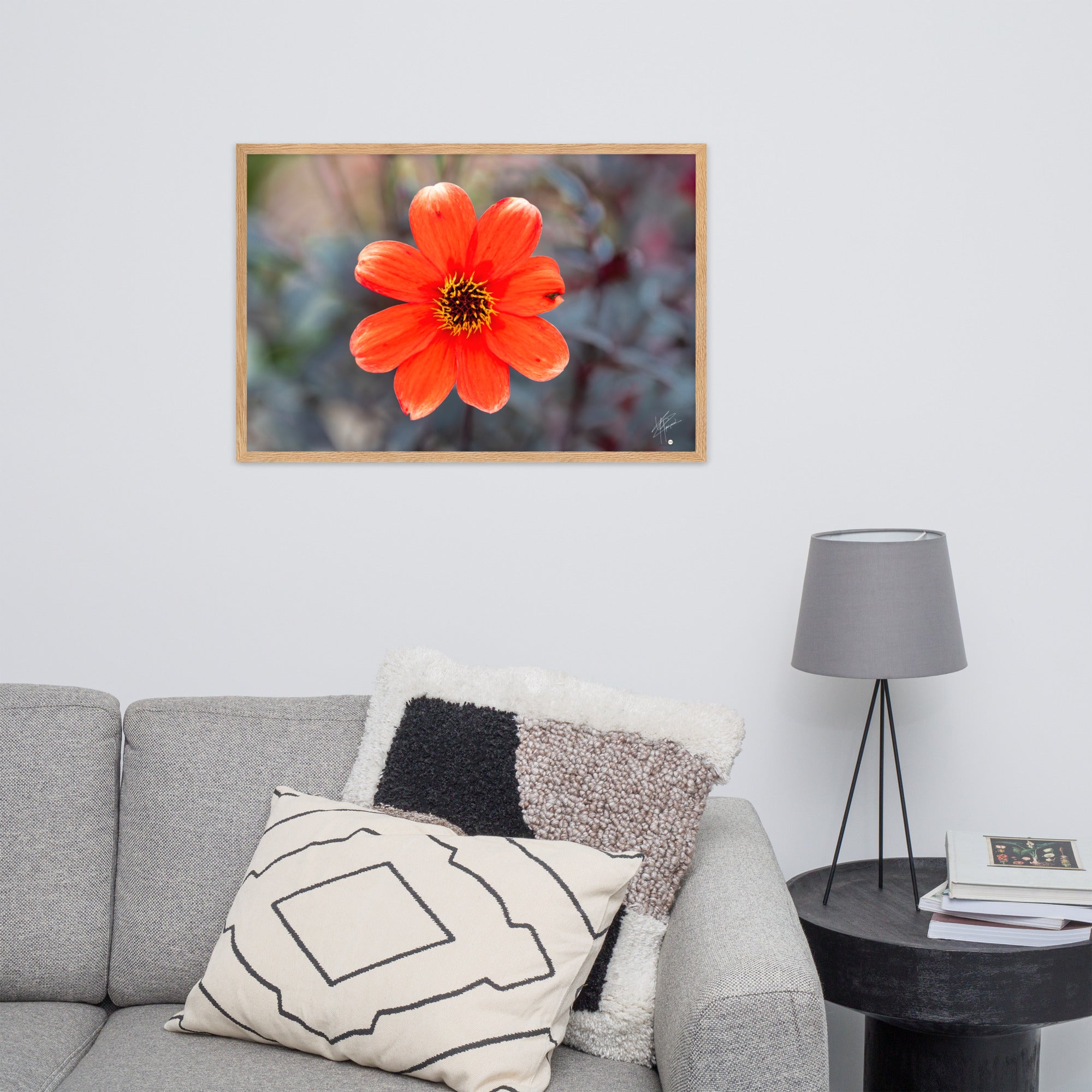 Photographie vibrante d'un Dahlia en pleine floraison, avec ses pétales détaillés et sa couleur éclatante, encadrée élégamment pour un affichage mural.