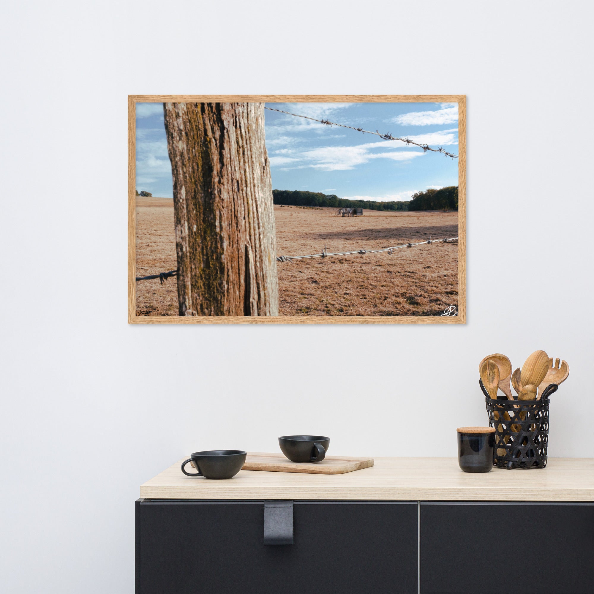 Photographie 'Campagne Sèche' par Ilan Shoham, capturant la résilience de la nature rurale à travers des barbelés, encadrée pour une réflexion profonde.