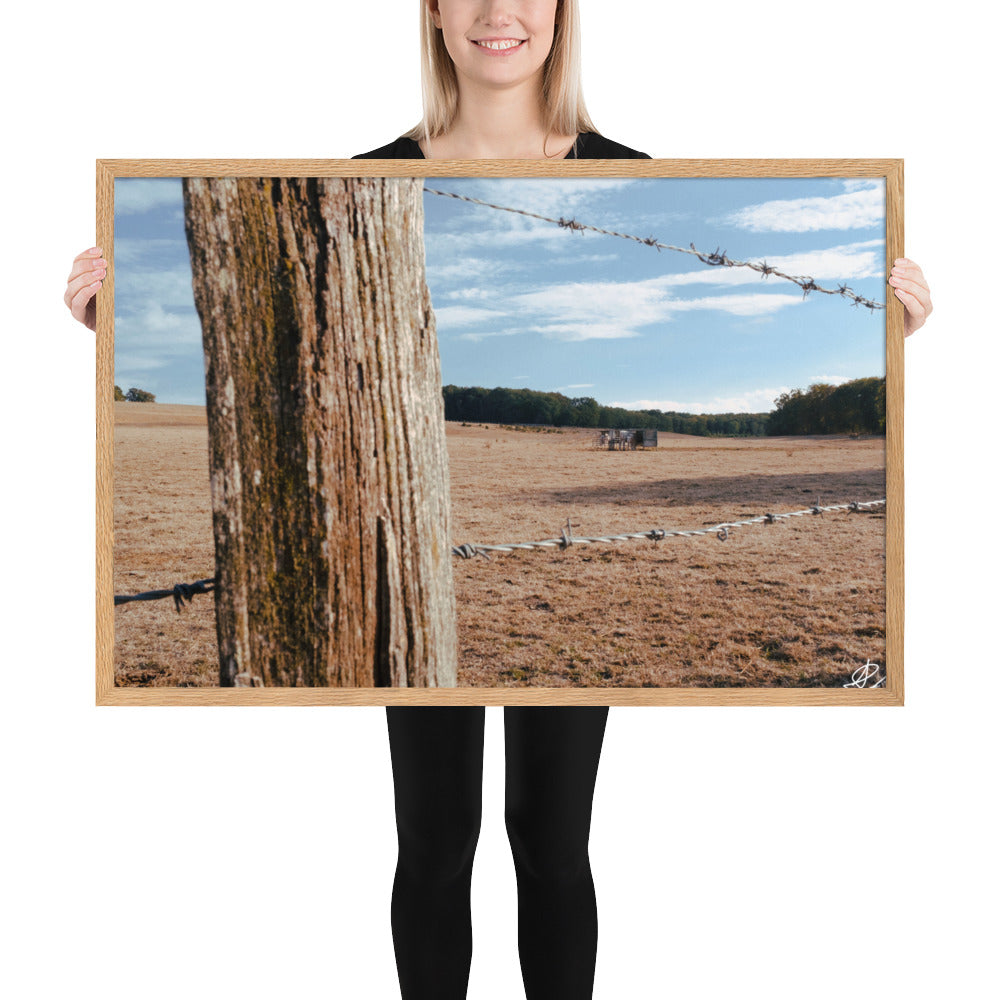 Photographie 'Campagne Sèche' par Ilan Shoham, capturant la résilience de la nature rurale à travers des barbelés, encadrée pour une réflexion profonde.