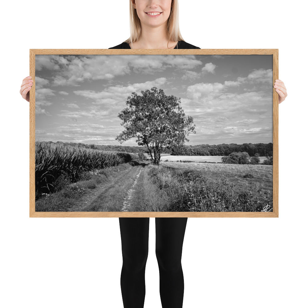 Poster en noir et blanc 'Le Grand Arbre', mettant en vedette un arbre robuste et serein au bord d'un champ ouvert, photographié de manière artistique par Ilan Shoham, offrant une présence apaisante et majestueuse à votre espace.