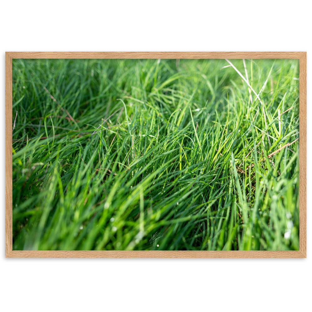 Photographie de 'Le Vent', montrant de l'herbe verte inclinée par une brise légère, encadrée dans un cadre en bois élégant.