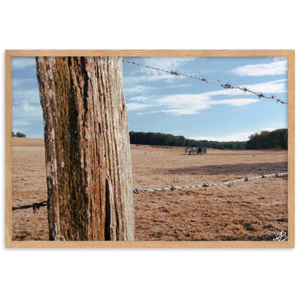 Photographie 'Campagne Sèche' par Ilan Shoham, capturant la résilience de la nature rurale à travers des barbelés, encadrée pour une réflexion profonde.