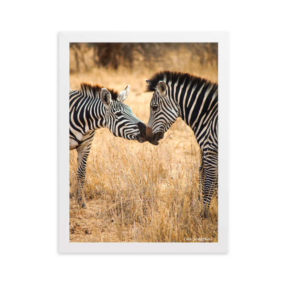 Image émouvante de zèbres dans un moment intime au Serengeti, une œuvre de Léa Scappini, parfaite pour capturer l'essence de la vie sauvage africaine.