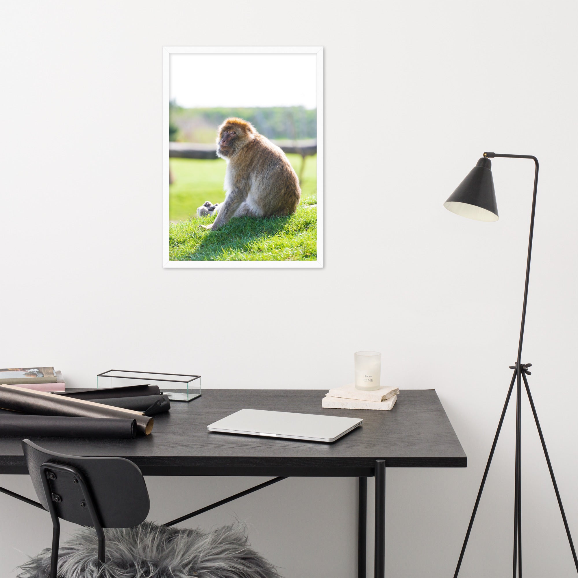 Dans le regard d'un macaque - Poster encadré - La boutique du poster Français