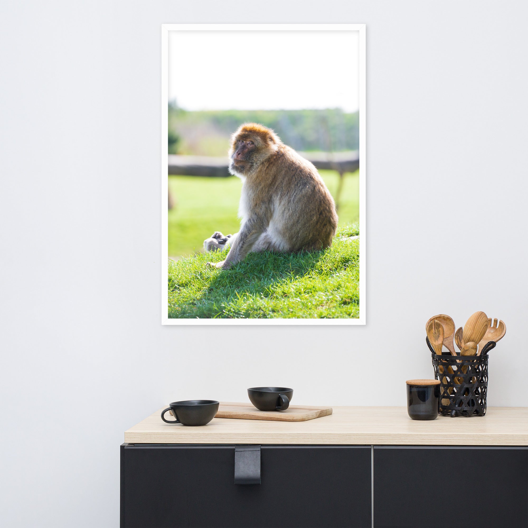 Dans le regard d'un macaque - Poster encadré - La boutique du poster Français