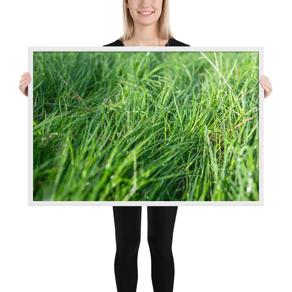 Photographie de 'Le Vent', montrant de l'herbe verte inclinée par une brise légère, encadrée dans un cadre en bois élégant.