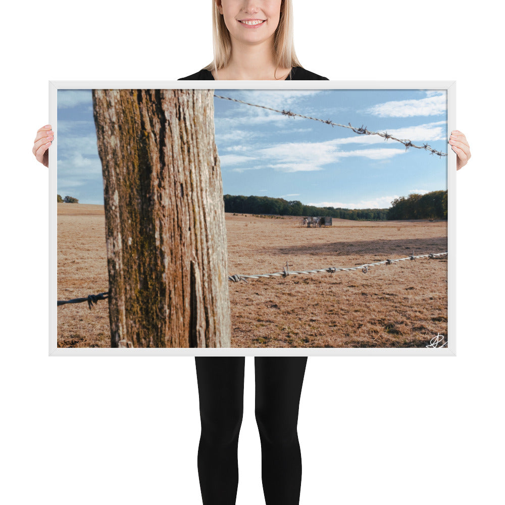 Photographie 'Campagne Sèche' par Ilan Shoham, capturant la résilience de la nature rurale à travers des barbelés, encadrée pour une réflexion profonde.