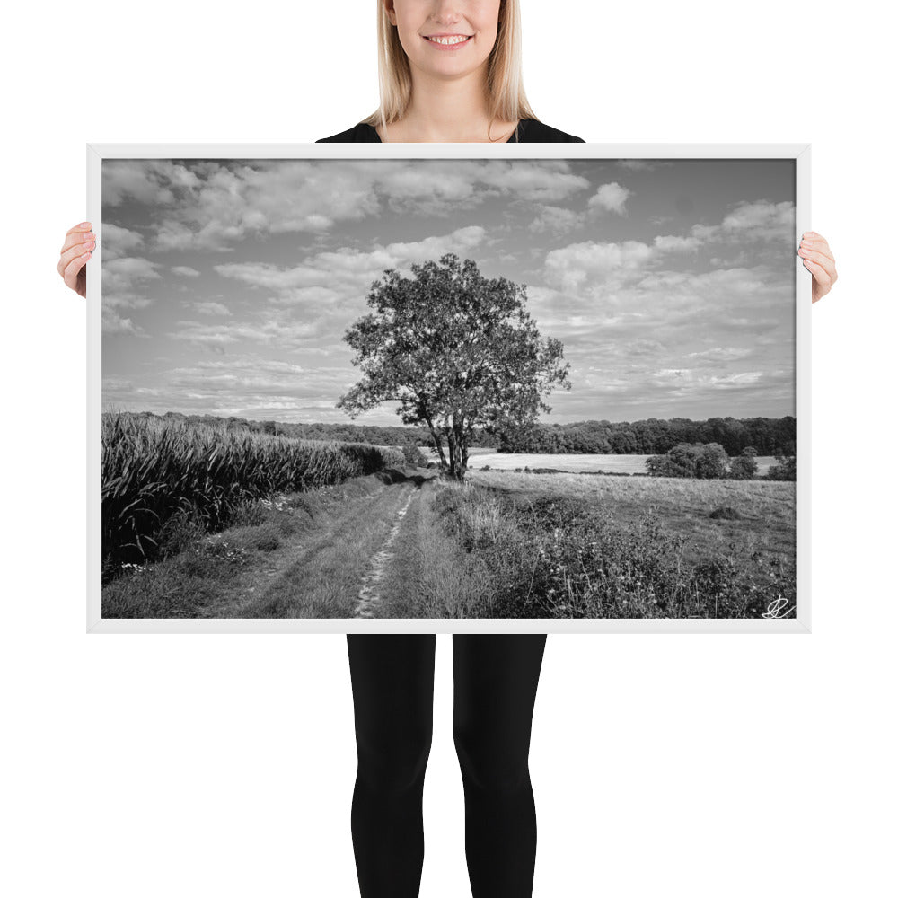 Poster en noir et blanc 'Le Grand Arbre', mettant en vedette un arbre robuste et serein au bord d'un champ ouvert, photographié de manière artistique par Ilan Shoham, offrant une présence apaisante et majestueuse à votre espace.