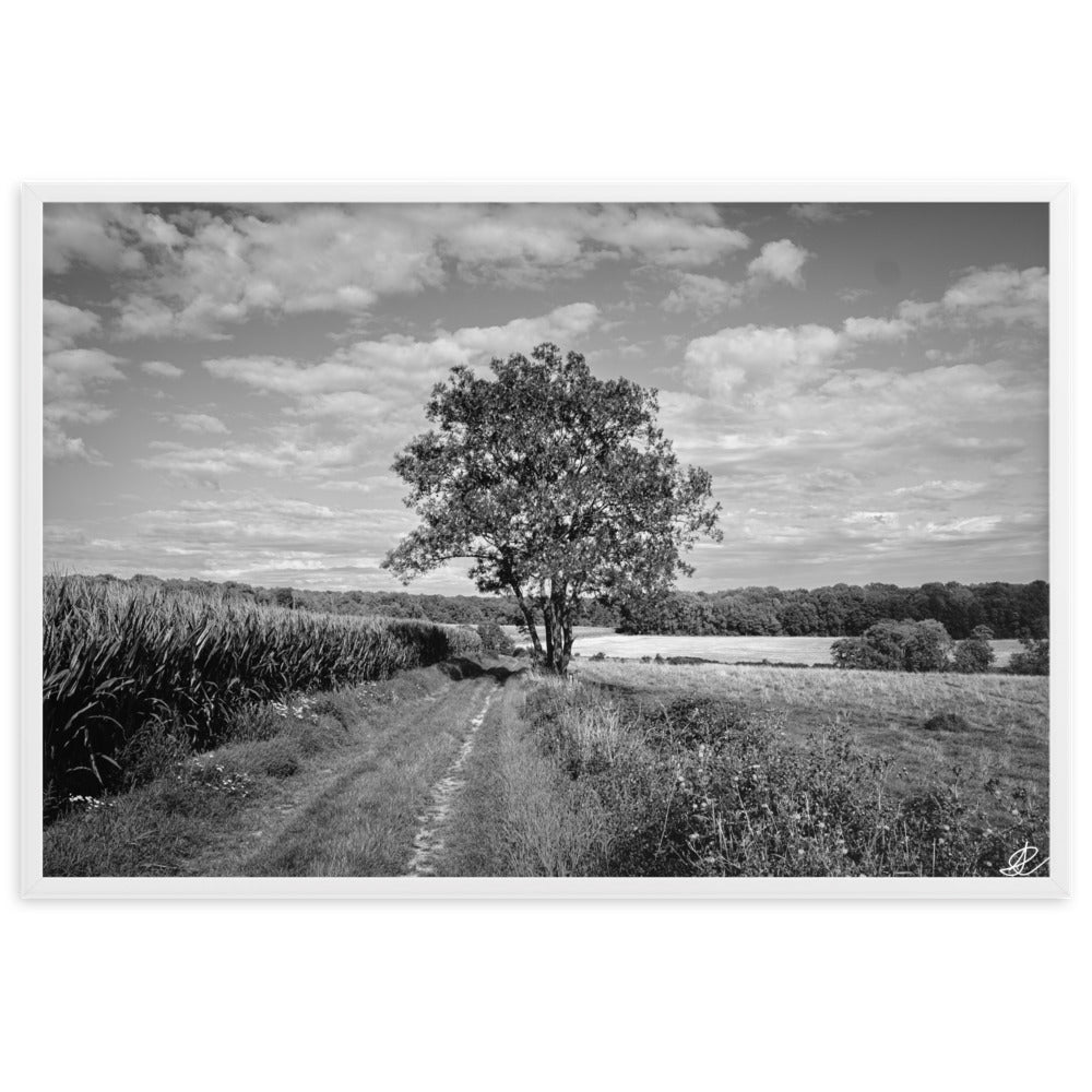 Poster en noir et blanc 'Le Grand Arbre', mettant en vedette un arbre robuste et serein au bord d'un champ ouvert, photographié de manière artistique par Ilan Shoham, offrant une présence apaisante et majestueuse à votre espace.Poster en noir et blanc 'Le Grand Arbre', mettant en vedette un arbre robuste et serein au bord d'un champ ouvert, photographié de manière artistique par Ilan Shoham, offrant une présence apaisante et majestueuse à votre espace.