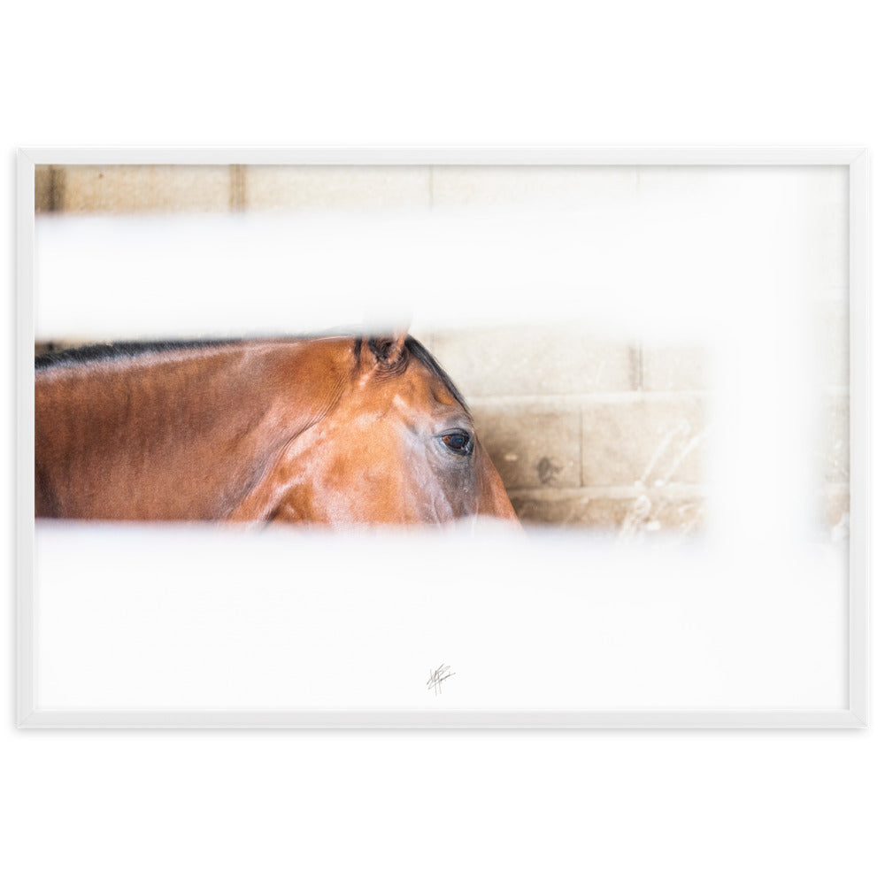 Poster artistique 'Confidence au box' signé Yann Peccard, représentant un cheval châtain dans un éclat de lumière, encadré et prêt à embellir votre espace.