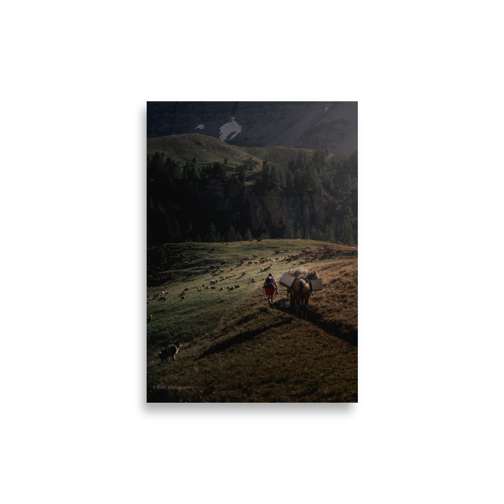 Une scène pittoresque de la nature avec un chien de berger, un cheval, un randonneur et un troupeau de moutons à la lumière du couchant, capturée par Brad_explographie.