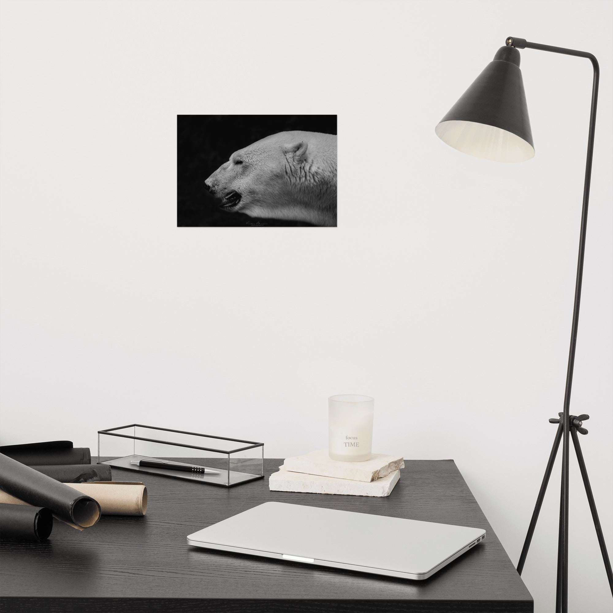 Portrait 'The White', capturant l'élégance et la puissance tranquille d'un ours polaire, son pelage blanc vibrant contrastant de manière saisissante avec un arrière-plan noir profond, créé par la photographe Victor Marre.