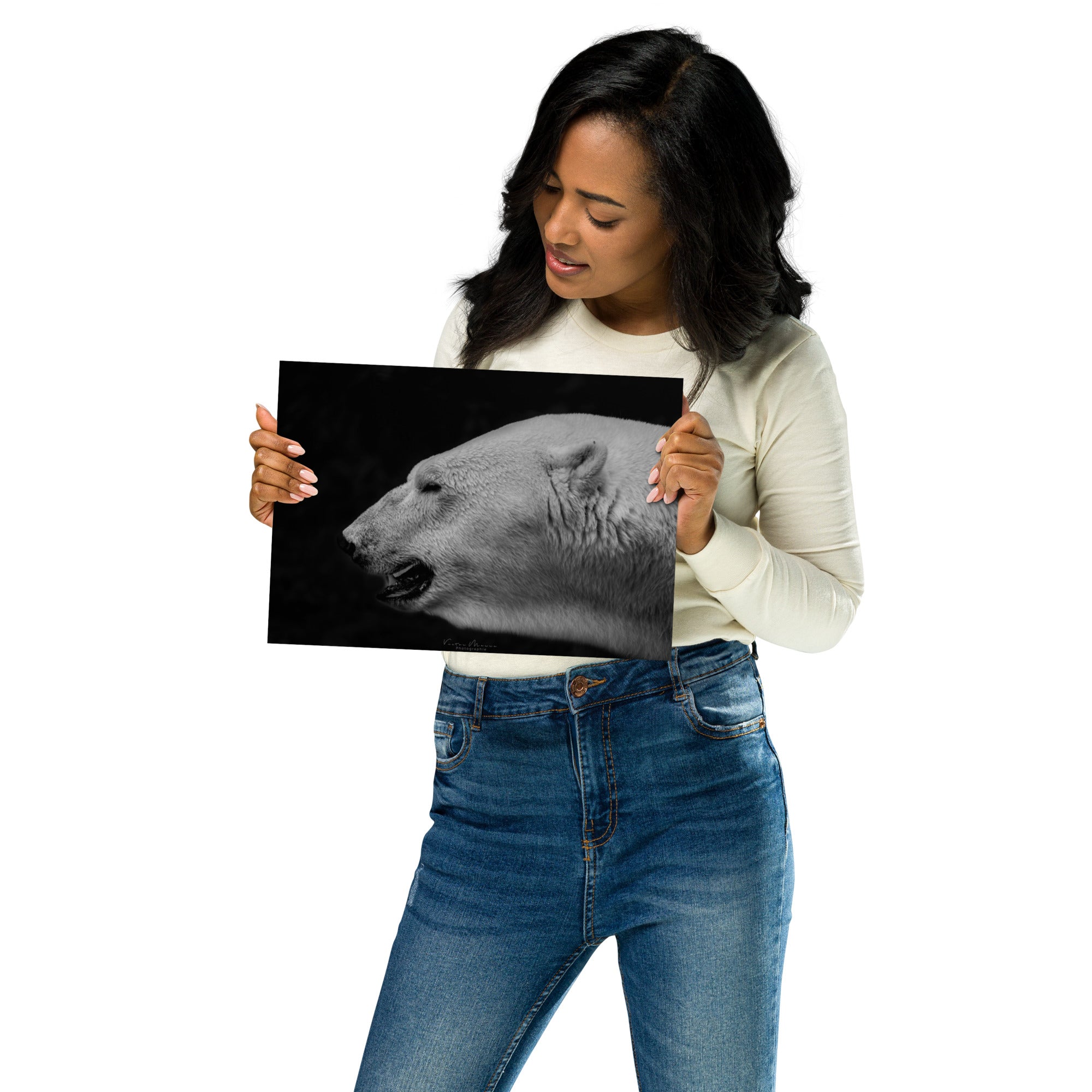 Portrait 'The White', capturant l'élégance et la puissance tranquille d'un ours polaire, son pelage blanc vibrant contrastant de manière saisissante avec un arrière-plan noir profond, créé par la photographe Victor Marre.