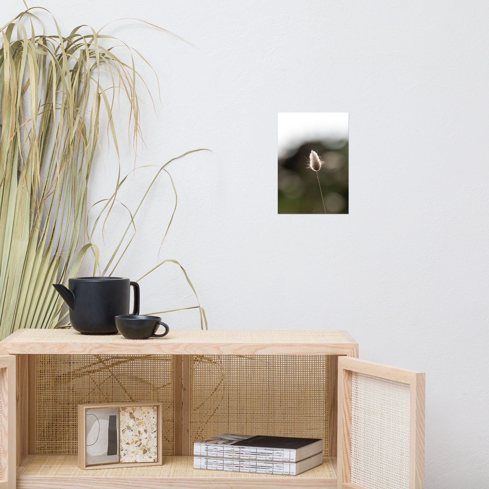 Photographie délicate 'Queue-de-lièvre', capturant de près la beauté et les détails fins d'une plante, créée par la photographe Yann Peccard.