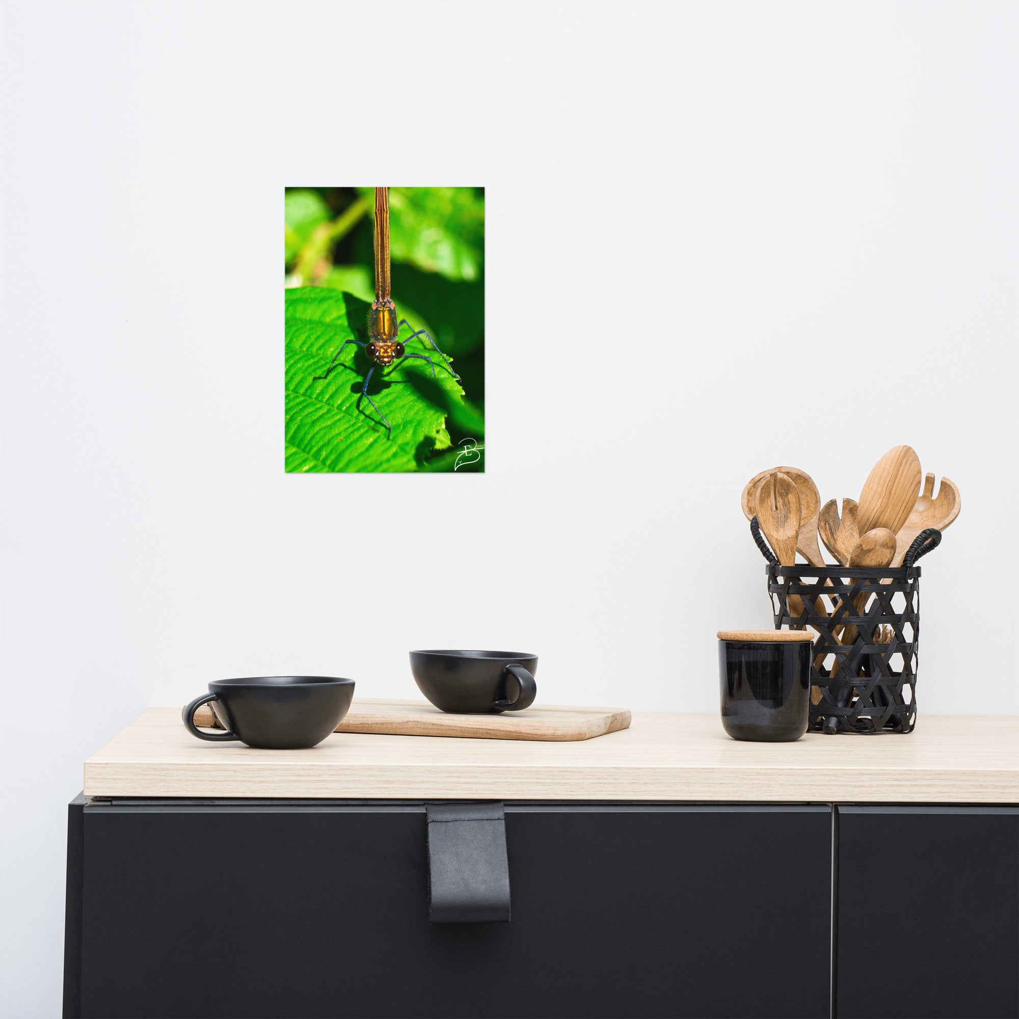 Photographie macro d'une femelle Libellule sur une feuille verte, les yeux fixant l'objectif, capturant la délicatesse de la nature, œuvre signée Eli Bernet.