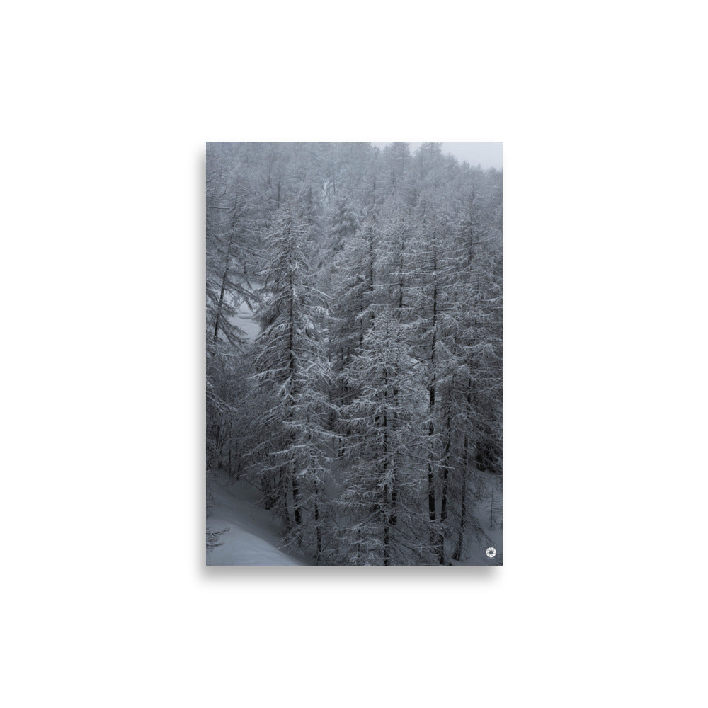 Affiche d'un paysage calme en hiver dans une forêt enneigée