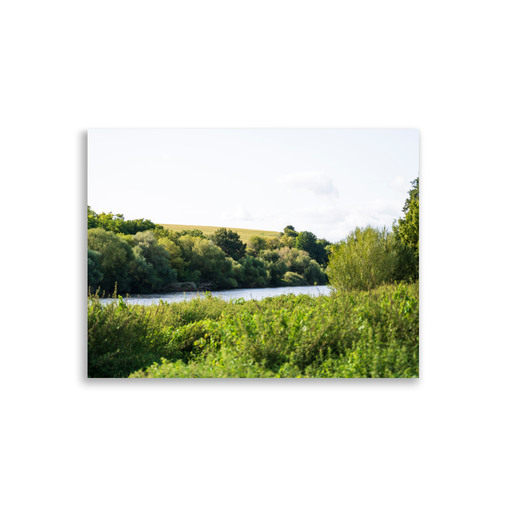 Affiche "Paysages Indre et Loire N02" représentant une belle vue sur la Loire avec des arbres et un champ