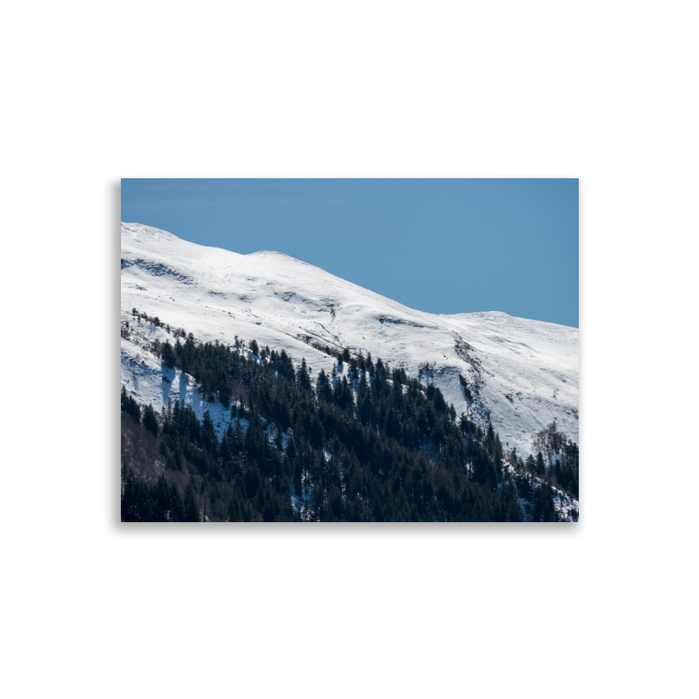 Photographie de montagnes enneigées avec petite forêt de sapins du Cantal.