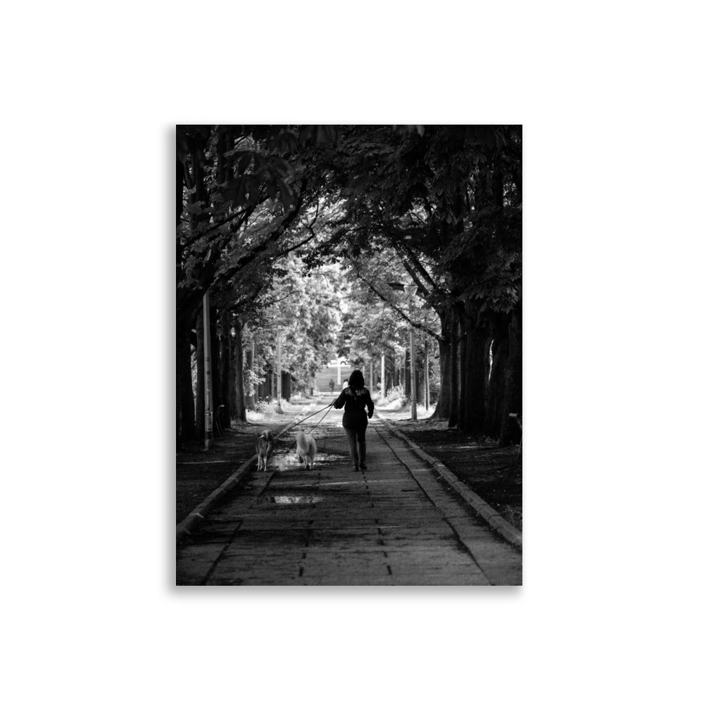 Photo de rue N24 - Promenade sereine d'une femme avec ses chiens sur l'Île aux Cygnes - La Boutique du Poster