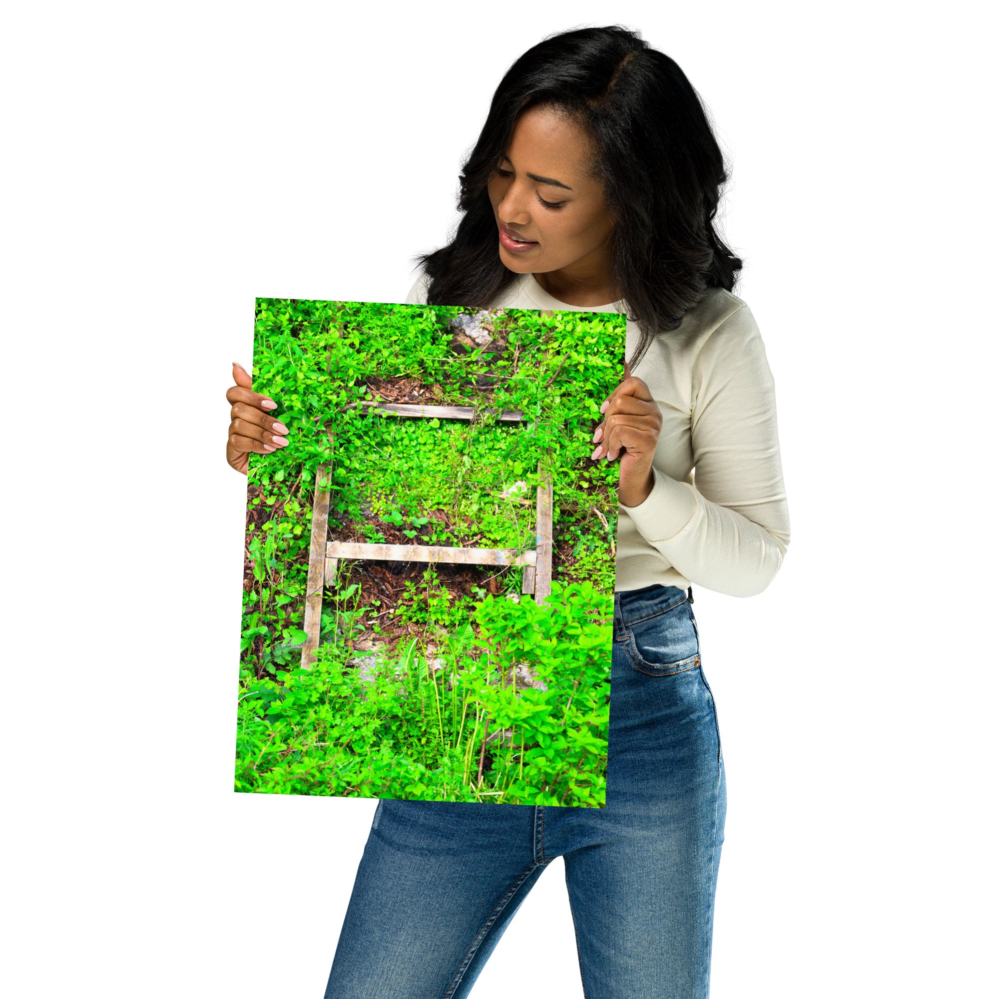 Poster Echelle Verdoyante, une photographie captivante d'une échelle envahie par la verdure, idéal pour les amoureux de la nature et ceux qui cherchent à créer une ambiance naturelle dans leur intérieur.