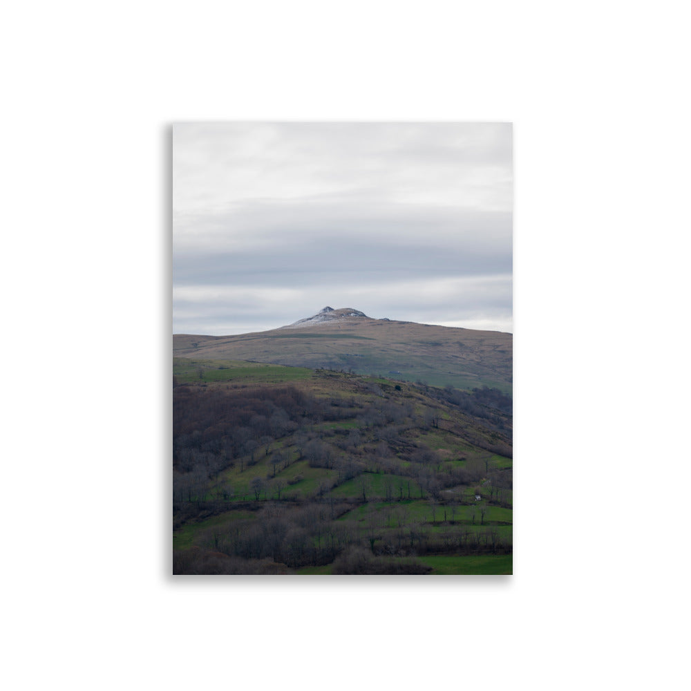 Paysage du Cantal : champs verdoyants en premier plan avec pic montagneux à l'arrière-plan.