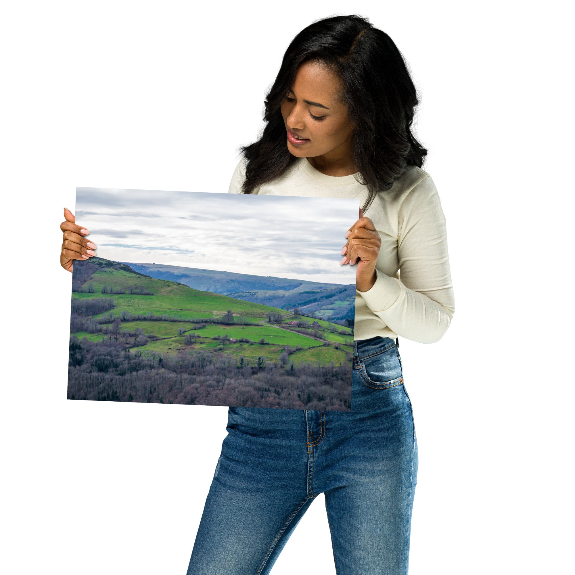 Paysage du Cantal : forêt dense à côté de prairies verdoyantes en haute altitude.