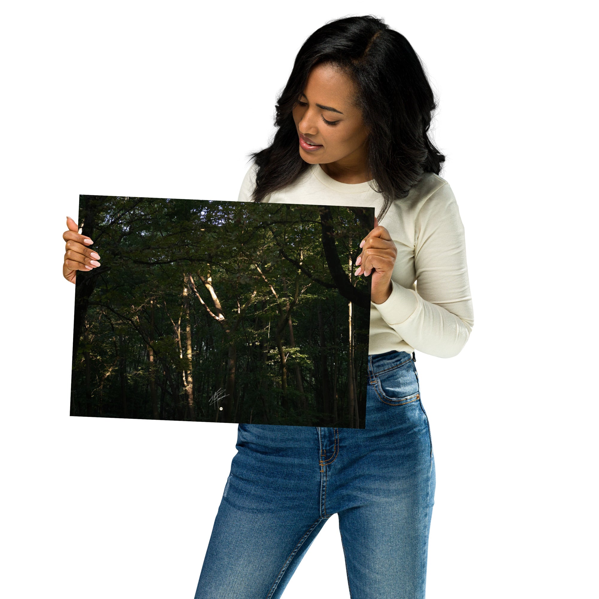 Photographie envoûtante d'une forêt dense, avec des rayons du soleil perçant la canopée, éclairant le sol forestier et les feuilles verdoyantes. Une évocation de la sérénité et de la beauté naturelle.