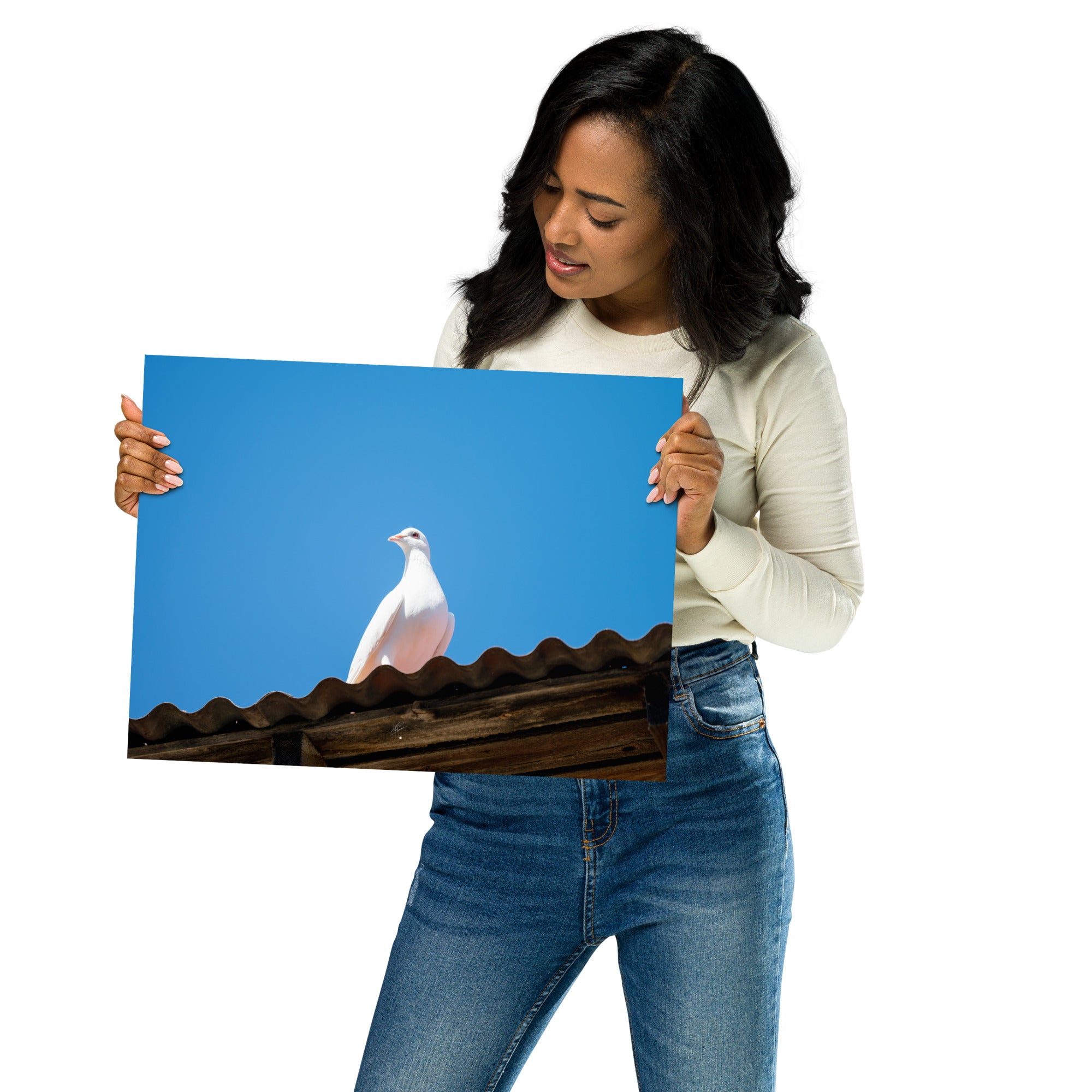 Photographie délicate 'Blanche Colombe' montrant un oiseau blanc en contemplation, imprimée sur papier haut de gamme.