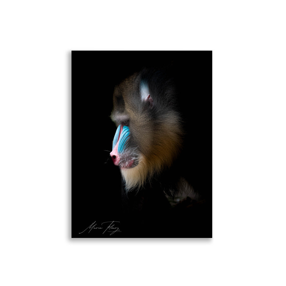 Portrait en profil d'un Mandrill aux couleurs vives, sur fond noir, œuvre artistique signée par Mademoiselle M et Maria Fleury.