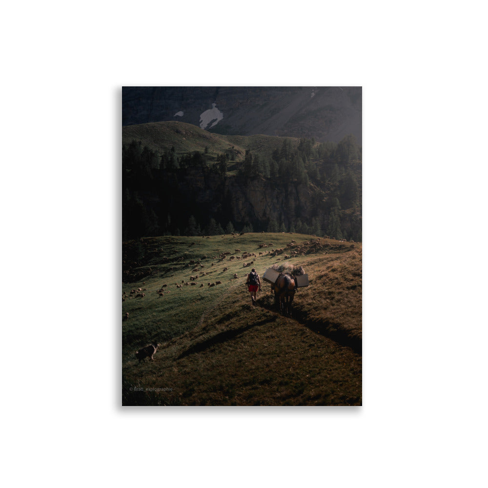 Une scène pittoresque de la nature avec un chien de berger, un cheval, un randonneur et un troupeau de moutons à la lumière du couchant, capturée par Brad_explographie.