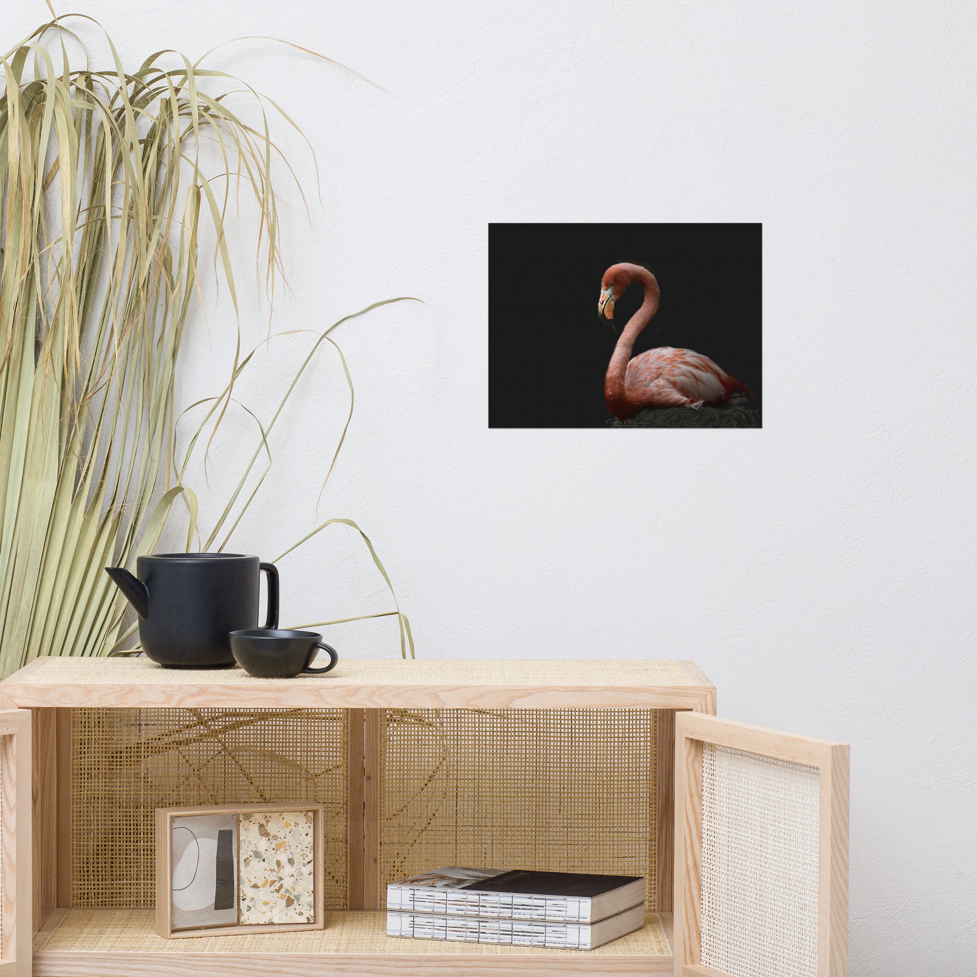 Photographie 'Flamingo', présentant un flamant rose élégant de profil, se détachant majestueusement sur un fond noir profond, capturant subtilement sa grâce et son élégance.